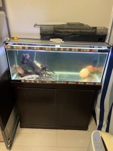 90センチ水槽セット　2万円