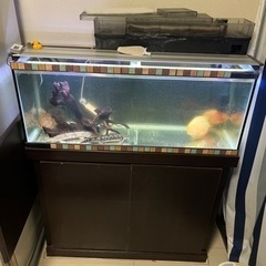 90センチ水槽セット　2万円