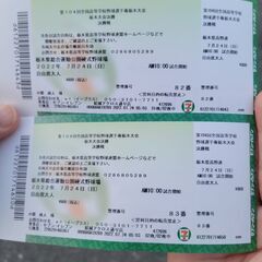 7月24日高校野球栃木大会決勝戦チケット2枚