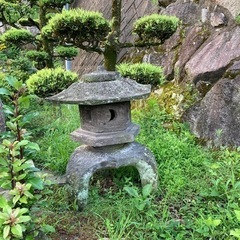 和風庭園用の樹木の画像