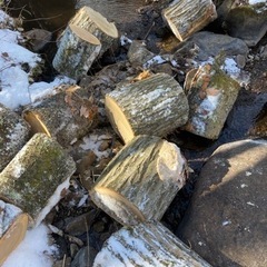 広葉樹ミックス　約10キロ　1500円の画像