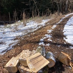 広葉樹ミックス　約10キロ　1500円の画像