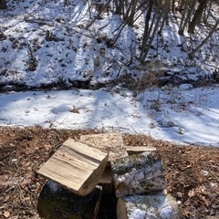 広葉樹ミックス　約10キロ　1500円の画像