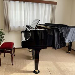PIANO LESSON