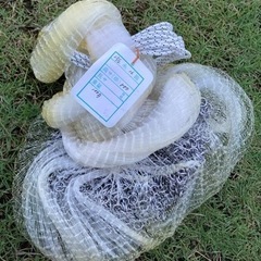 新品未使用  投網  16節   800目   1.5/2号  100匁 鮎の画像