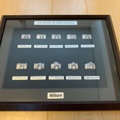 Nikonヒストリーバッチ