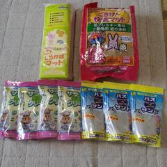 ハムスター　セット