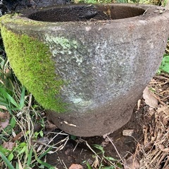 🍂　🌅🌄石臼　苔　苔のついた石臼🍂　🌅🌄の画像