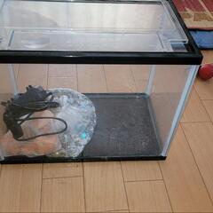 水槽セット