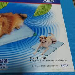 電気を使わないクーラーボードの画像
