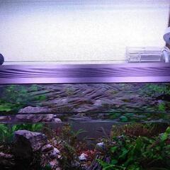 45-60cm水槽用LED照明 3色ライトの画像