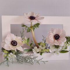 my花frame教室