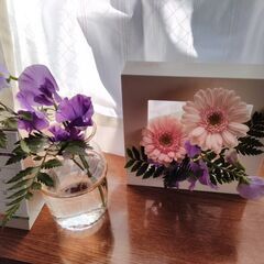 my花frame教室の画像