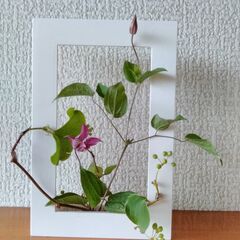 my花frame教室の画像