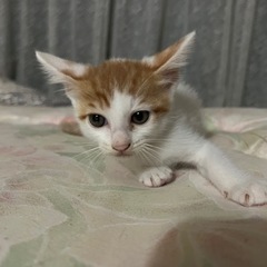 1ヶ月　男の子
