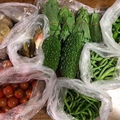 絶対お買い得！新鮮野菜セット