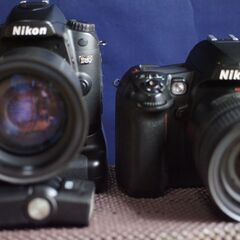 NIKON　D60　D80　D100　一撃2万円