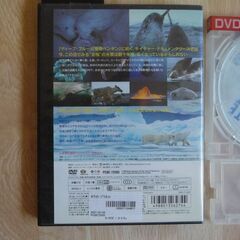 (中古)DVD　WHITE PLANET（ホワイトプラネット）の画像
