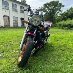 売れましたの画像