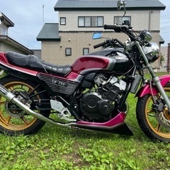 売れましたの画像