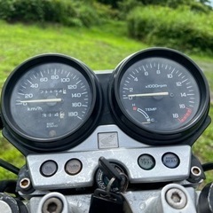 売れましたの画像