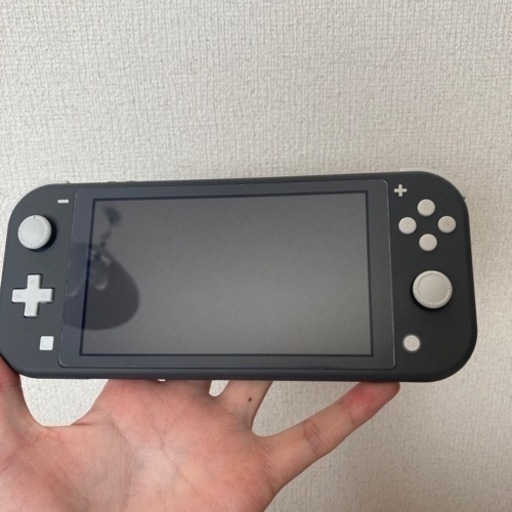 任天堂Switch Lite(保護シール有り)