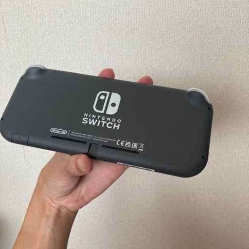 任天堂Switch Lite(保護シール有り)