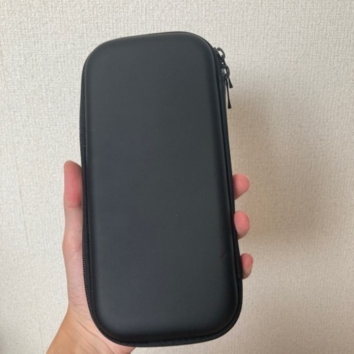 任天堂Switch Lite(保護シール有り)