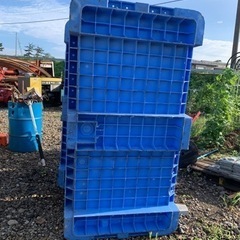 箱、1個の値段です