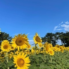 🌈LINEグループチャット🌟メンバー募集❗️大阪