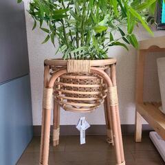 イケア プラントスタンド+フェイクプラント
