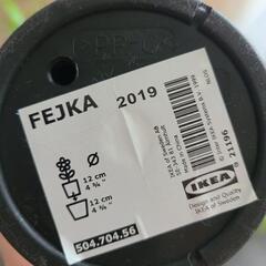 イケア プラントスタンド+フェイクプラントの画像