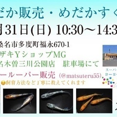 めだか販売・めだかすくい・ウーパールーパー販売