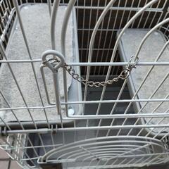 猫　ちんちら　ゲージ　キティゲージ690の画像