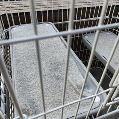 猫　ちんちら　ゲージ　キティゲージ690の画像