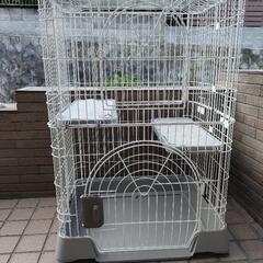 猫　ちんちら　ゲージ　キティゲージ690の画像