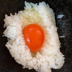 高校生可　ジェラートカフェの画像