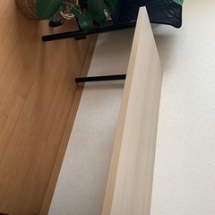 IKEA LAGKAPTEN ラグカプテン / ADILS オディリスの画像