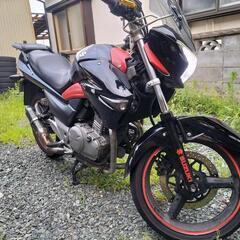 GSR250ちょいカスタム調子良いお買い得♪