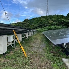 長崎〜鹿児島まで　便利屋タスケット太陽光草刈りいたします。