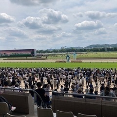 一緒に競馬しませんか？ - メンバー募集