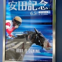 一緒に競馬しませんか？ - 府中市