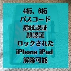 iPhone iPad パスコード 解除 Apple ID 削除 工場出荷状態 完全 初期化 ロック解除 - 大島郡