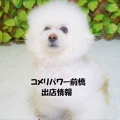 内容が変更しました！7月31日　前橋市コメリパワーにて！