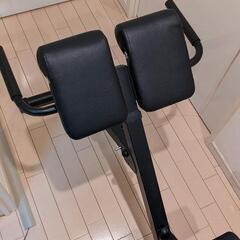 バックエクステンションベンチ　背筋　トレーニング