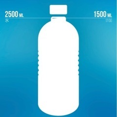 体育の先生が教えるダイエット教室の画像