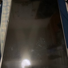引き取り可能な方のみの画像