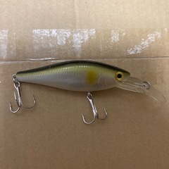 みんなで楽しく釣りしましょう