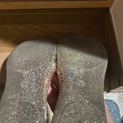 ラバーシューズの画像