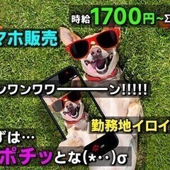 【週払い可】楽しくスマホ販売！高時給で安心、しっかり経験が積めま...